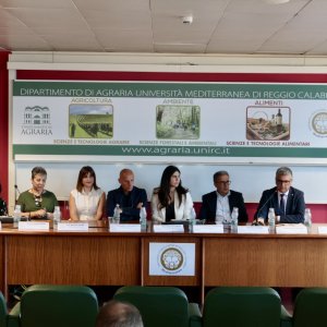 Case Study Area Reggio Calabria kicks off activities with stakeholder meeting