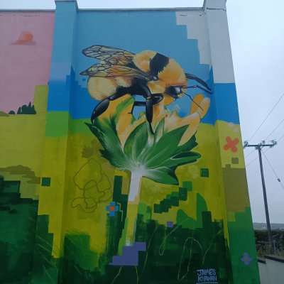 Photo of Mullet Peninsula