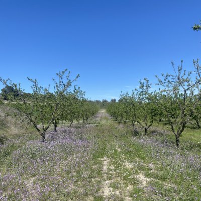 Photo of Murcia