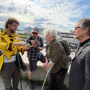 ProPollSoil celebrates World Bee Day 2026 with three events