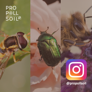 ProPollSoil launches Instagram account ProPollSoil launches Instagram account